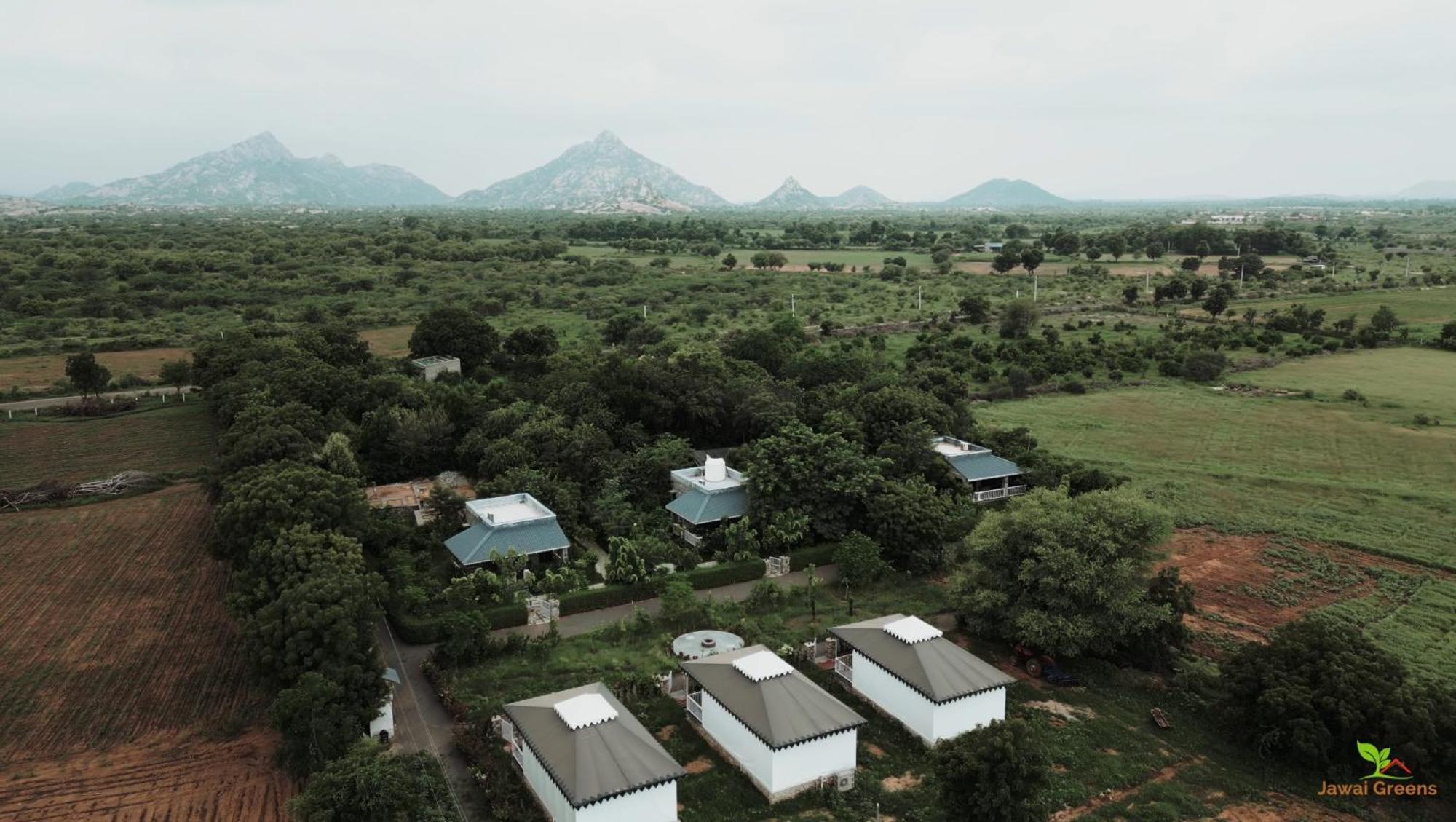 Jawai Greens Jawai Bandh Buitenkant foto