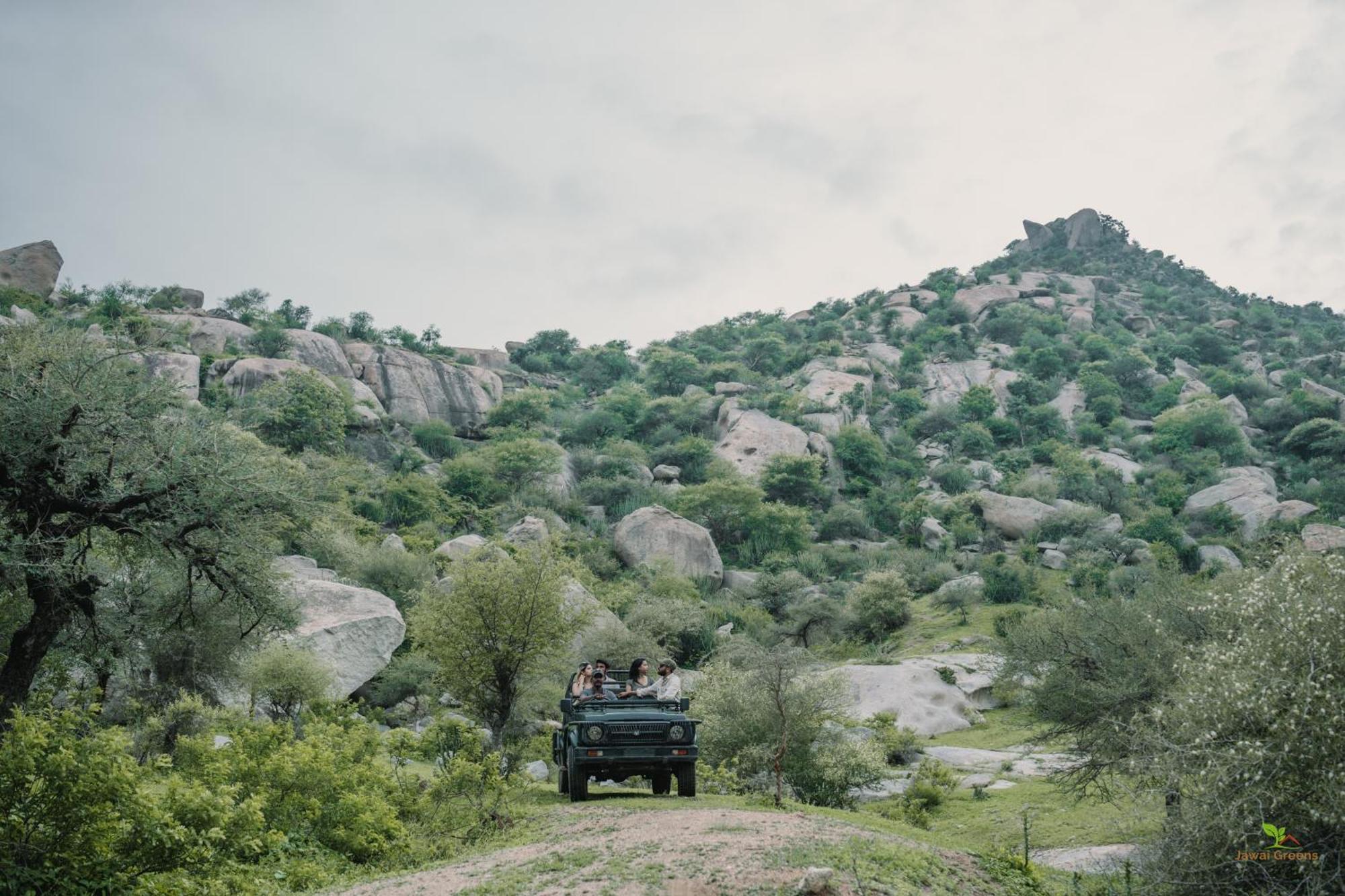 Jawai Greens Jawai Bandh Buitenkant foto