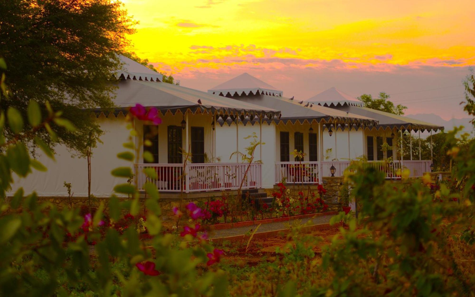 Jawai Greens Jawai Bandh Buitenkant foto
